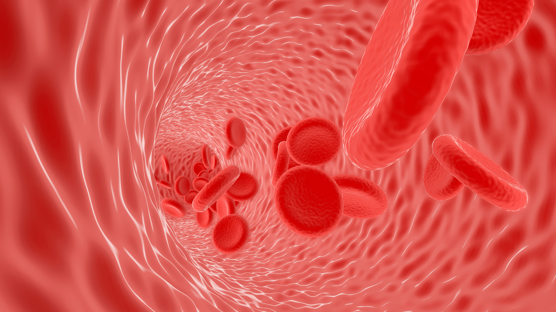 图40 正常红细胞-血液学细胞学-医学