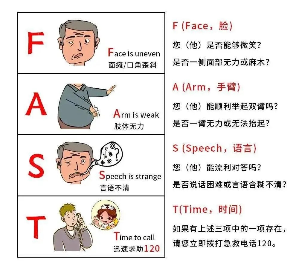64012.webp.jpg