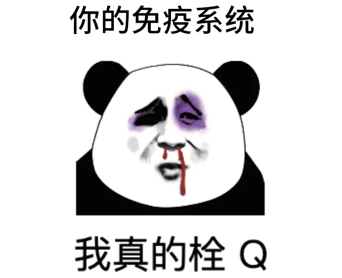 6405.webp.jpg