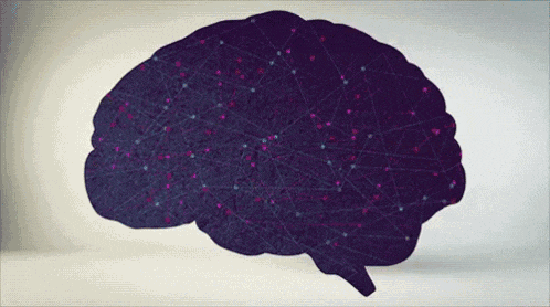 4.gif