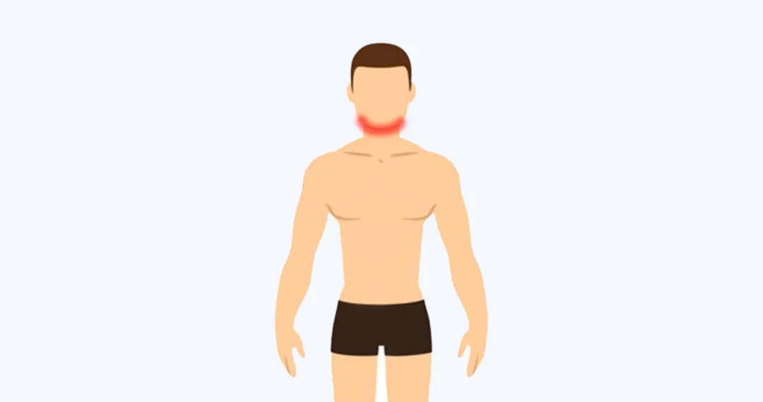 5.webp.jpg