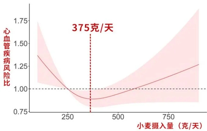 3.webp.jpg