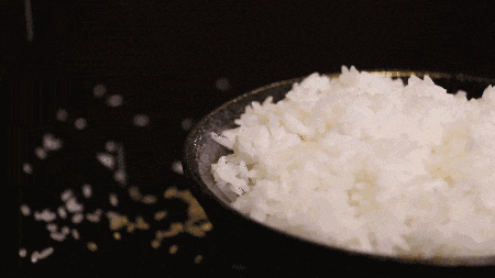 4.gif